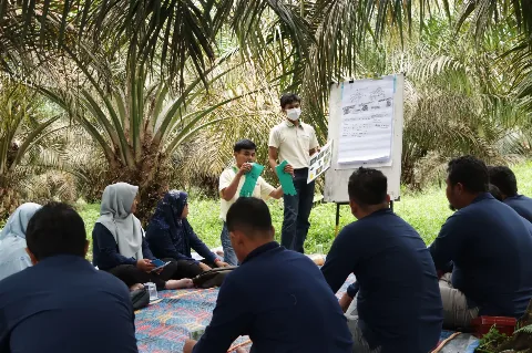 Musim Mas Telah Bersertifikat 100% ISPO di Sektor Hulu