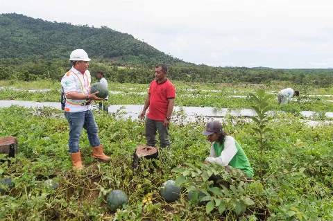 Bumitama Luncurkan Kolega, Kembangkan Potensi Lokal Di Kalimantan