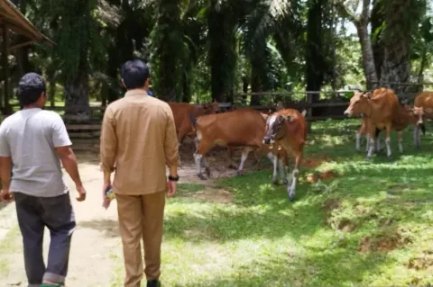 Swasembada Pangan Dapat Menghemat Devisa Hingga USD 5,2 Miliar