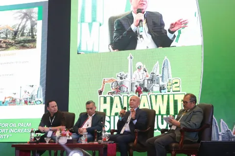 Tantangan Sawit Makin Kompleks, Industri Andalkan Replanting dan AI