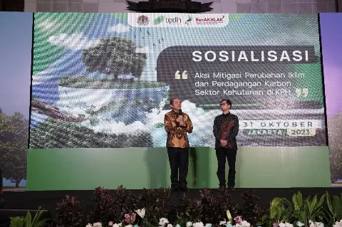 Pengelolaan Hutan, Kunci Strategis Kurangi Emisi Sektor Kehutanan