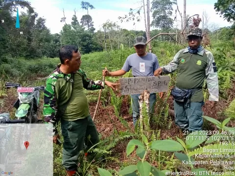 KLHK Wanti-wanti Sawit yang Masuk Hutan Lindung Tak Boleh Lagi Digarap
